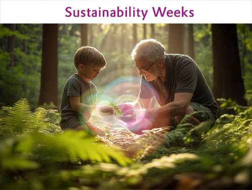 Sustainability Weeks at a glance
